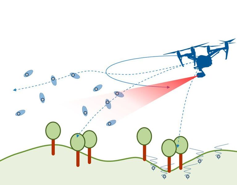 Eine Drohne bringt die verschiedenen Roboter-Samen aus. (IIT/I-Seed)