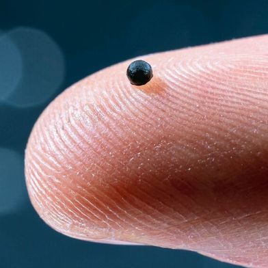 So klein ist der neueste ETH-Mikroroboter. (Bild: Luca Donati / ETH Zürich)